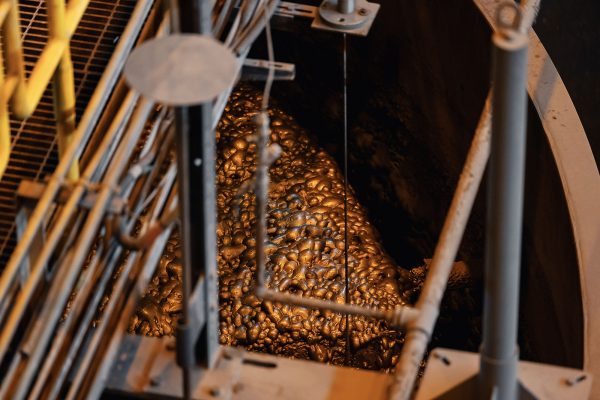 Flotation froth with mineralized bubbles illustrating fine particle recovery in flotation circuits.
